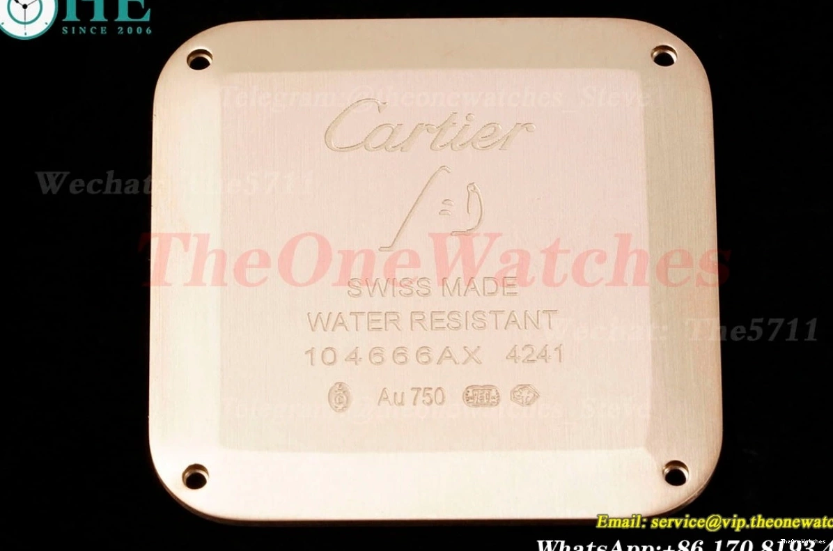 Dumont Dial Silver Brown Santos Quartz LE RG AF Dia 0313